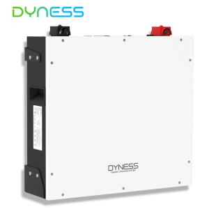 DYNESS - DL5.0C | 5.12kWh
